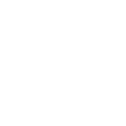 GAP logo
